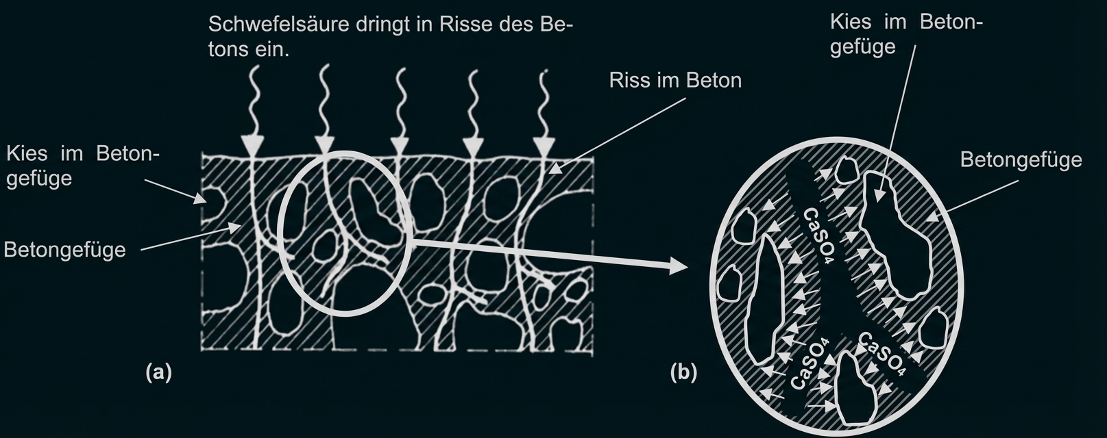 Querschnittsdiagramm: Schwefelsäure dringt in Betonrisse ein, Bildung von CaSO4 im Beton-Gefüge zwischen Kies und Bindemittel.